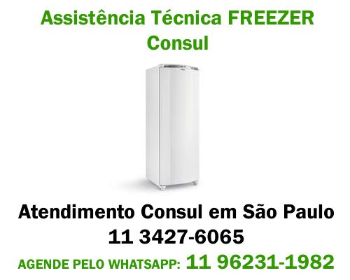 Assistência técnica Freezer Consul