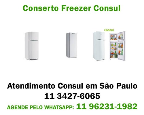 Conserto freezer Consul